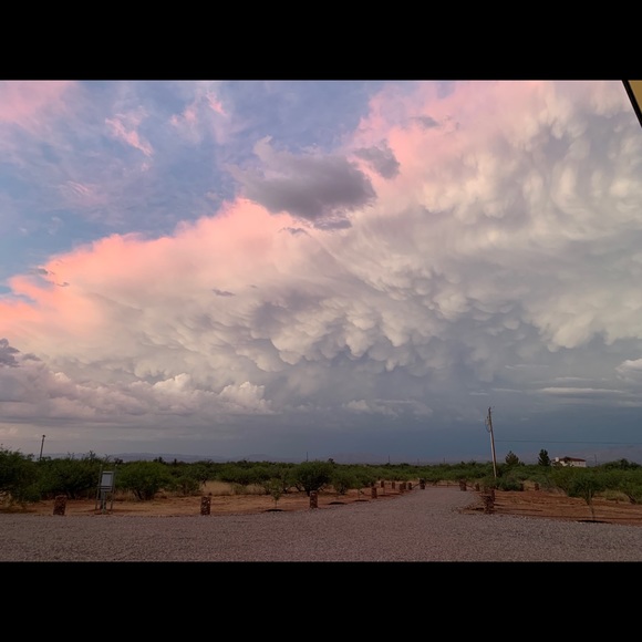 Meet your Posher, Shayne - Picture 2 of 10